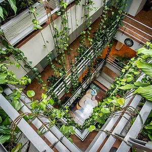 https://picasso-inn.hotels-bogota.net