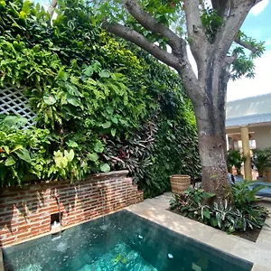Casa Jaguar Boutique Colombie